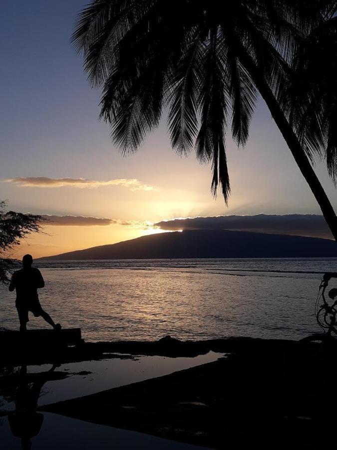 Deluxe Oceanview Maui Studio..New & Updated Kahana Zewnętrze zdjęcie